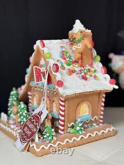 12''Sugarplum Dreams Christmas Gingerbread House Santa Sleigh Reindeer on Roof