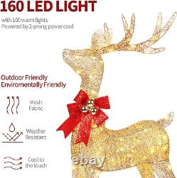 2PCS Set Christmas Lighted Reindeer & Sleigh, 4FT Gold Xmas Light-Up Santa Sleig