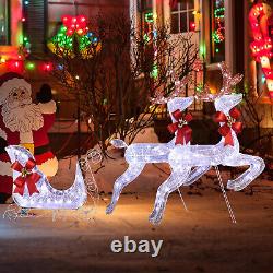 2-Piece Lighted Reindeer & Santa's Sleigh Festive Christmas Decoration for Patio