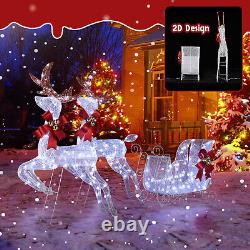 2-Piece Lighted Reindeer & Santa's Sleigh Festive Christmas Decoration for Patio