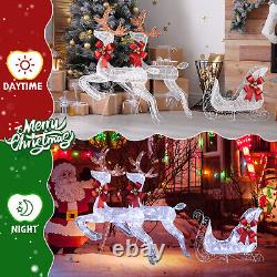 2-Piece Lighted Reindeer & Santa's Sleigh Festive Christmas Decoration for Patio