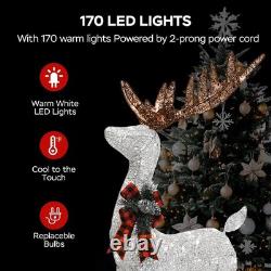 2-Piece Set Outdoor Lighted Reindeer with Sleigh Christmas Decors