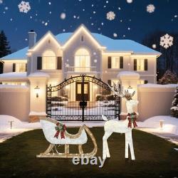 2-Piece Set Outdoor Lighted Reindeer with Sleigh Christmas Decors