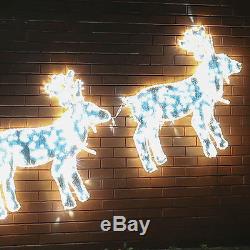 4.1m Mains Powered Outdoor Twinkling Christmas Reindeer Santa Sleigh Led Light