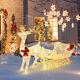 6 Ft Christmas Lighted Reindeer & Santa's Sleigh With 215 Led Lights & 4 Stakes