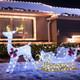 6 Ft Christmas Lighted Reindeer & Santa Sleigh, Xmas Lighted Outdoor Yard Decor