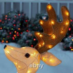 8.5ft LED Rudolph Reindeer Santa's Sleigh CHRISTMAS OUTDOOR holiday Yard Decor