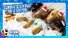 8 Tiny Dogs Get The Job Of A Lifetime Pulling Santa S Sleigh Dodo Kids Happy Holidays