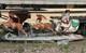 Blow Molds Empire Waving Santa In His Sleigh Noel 2 Reindeer Untested Vtg