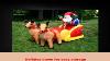 Christmas Inflatable 6 Feet Santa On Sleigh With Two Reindeers Yard Decoration