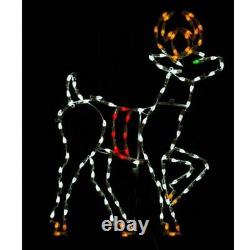 Christmas Light Display LED Santa Sleigh with Reindeer Outdoor Commercial Yard Art