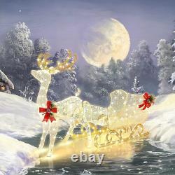 Christmas Light Reindeer and Santa Claus Sled Outdoor Xmas Light Courtyard Decor