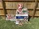 Giant Santa & Sleigh & 1 Reindeer Blowmold Generel Foam In Box Christmas Read