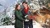 Hallmark Movies Northern Lights Of Christmas Hallmark Movies Romance