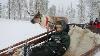 Harry Bo Reindeer Sleigh Ride Santa S Lapland Saariselk Finland
