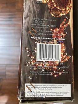 Holiday Living 4 Pc Holographic Santa Sleigh Reindeer Lighted 68 x 1.5 x 31