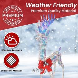 Iridescent Christmas Reindeer and Santa Sleigh Set, Lighted Christmas Yard De