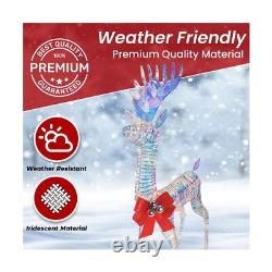 Iridescent Christmas Reindeer and Santa Sleigh Set, Lighted Christmas Yard De