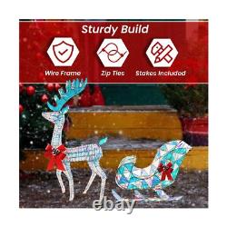 Iridescent Christmas Reindeer and Santa Sleigh Set, Lighted Christmas Yard De