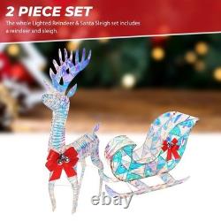 Iridescent Christmas Reindeer and Santa Sleigh Set, Lighted Christmas Yard De