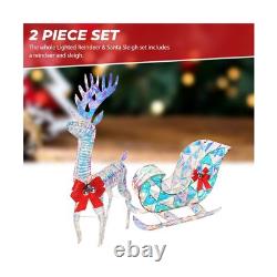 Iridescent Christmas Reindeer and Santa Sleigh Set, Lighted Christmas Yard De