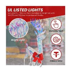 Iridescent Christmas Reindeer and Santa Sleigh Set, Lighted Christmas Yard De