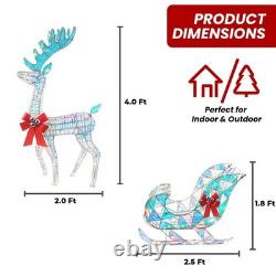 Iridescent Christmas Reindeer and Santa Sleigh Set, Lighted Christmas Yard De