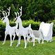 Large Christmas Outdoor Decoration Santa Sleigh With 2 Reindeer Set