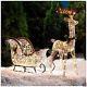 Lighted 52 Santa Sleigh & Reindeer Deer 40 Holiday Decoration 2 Pc Grapevine