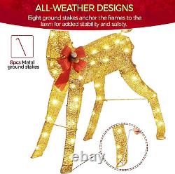 Lighted Christmas Reindeer & Santa Sleigh Set, Light-Up Outdoor Xmas Holiday Dec