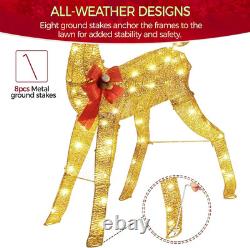 Lighted Christmas Reindeer & Santa Sleigh Set, Light-Up Outdoor Xmas Holiday Dec