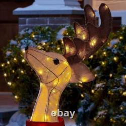 Outdoor Santa Reindeer Sleigh Yard Decoration Display Holiday Decor LED Lights