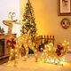 Pre-lit Christmas Reindeer And Santa's Sleigh With 100 Warm Led Lights Decor