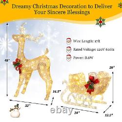 Pre-Lit Christmas Reindeer and Santa's Sleigh with 100 Warm LED Lights Decor