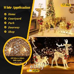 Pre-Lit Christmas Reindeer and Santa's Sleigh with 100 Warm LED Lights Decor