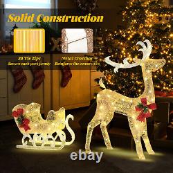 Pre-Lit Christmas Reindeer and Santa's Sleigh with 100 Warm LED Lights Decor