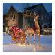 Pre-lit Outdoor Santa Sleigh And Reindeer Led Lighted Yard Christmas Decoration