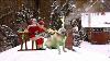 Pug Reindeer Pulling Santa S Sleigh