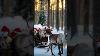 Reindeer Pulling Santa S Sleigh In A Magical Moonlit Winter Sky Trending Reindeer Christmas Nature
