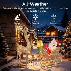Reindeer & Santa Sleigh Set, Champagne Gold Perfect for Outdoor Christmas