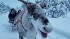 Reindeer Sleigh Ride In Rovaniemi Finland