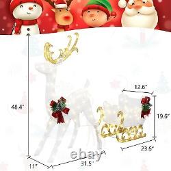 Reindeer and Santa's Sleigh (White) Christmas Décor Includes Pre-Strung LED