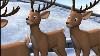 Rudolph The Red Nosed Reindeer And The Island Of Misfit Toys 2001 Widescreen