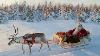 Santa Claus And Reindeer On The Road Lapland Finland Rovaniemi Father Christmas