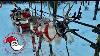 Santa Claus Village Reindeer U0026 Husky Sleigh Ride In Rovaniemi Lapland Finland