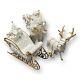 Traditions White Porcelain Santa Sleigh & Reindeer Gold Color Accents Costco