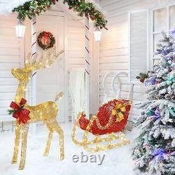 VINGLI Lighted Christmas Reindeer and Santa Sleigh Outdoor Decoration Deer Se