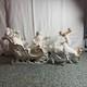 Vintage 2000 Grandeur Noel Porcelain Christmas Ensemble Santa/sleigh/reindeer