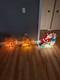 Vintage 24 Empire Santa Sleigh Sled Christmas Blow Mold 2 Reindeer