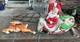 Vintage Christmas Santa & Reindeer Sleigh Lighted Lawn Empire Blow Mold Pickup
